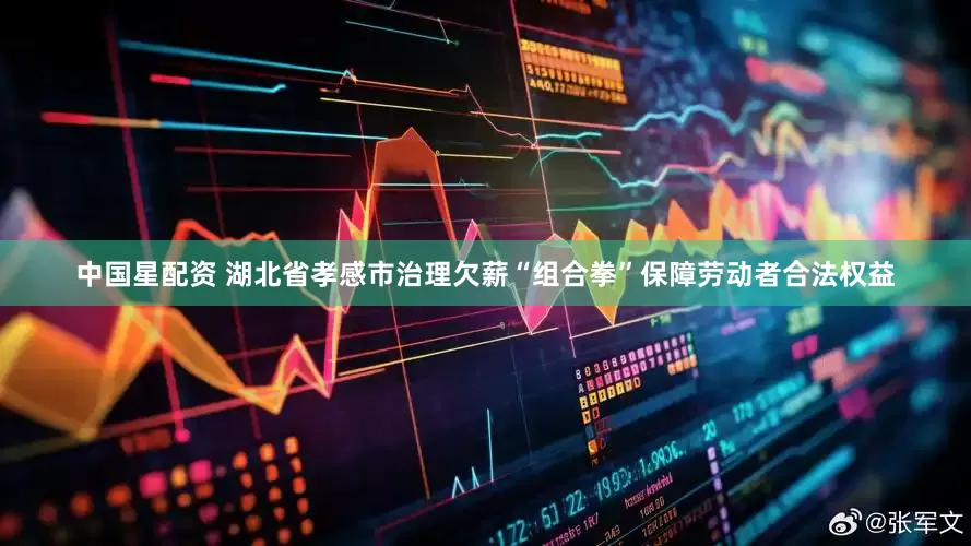 中国星配资 湖北省孝感市治理欠薪“组合拳”保障劳动者合法权益