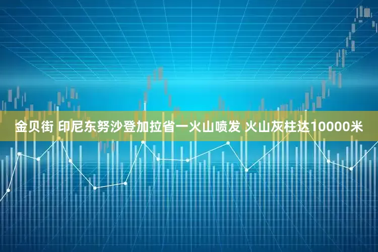 金贝街 印尼东努沙登加拉省一火山喷发 火山灰柱达10000米